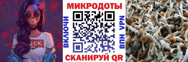 Псилоцибиновые грибы MAGIC MUSHROOMS  Ликино-Дулёво 