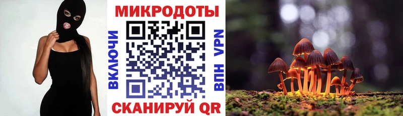 Псилоцибиновые грибы ЛСД Ликино-Дулёво