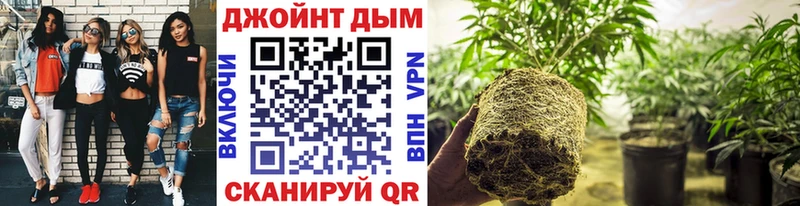 kraken как войти  Ликино-Дулёво  МАРИХУАНА White Widow 